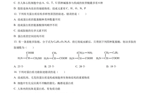 河南省郑州市十校2024-2025学年高一上学期期中联考生物试卷Word版无答案_2024年12月试卷_1213河南省郑州十校联考2024-2025学年高一上学期期中考试