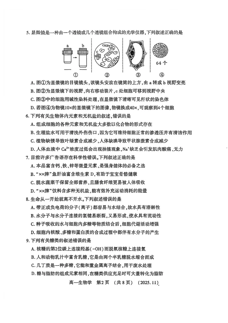 河南省洛阳市2025&mdash;2026学年第一学期11月期中考试高一生物试卷_2025年11月高一试卷_251126河南省洛阳市2025-2026学年高一上学期期中考试（全）