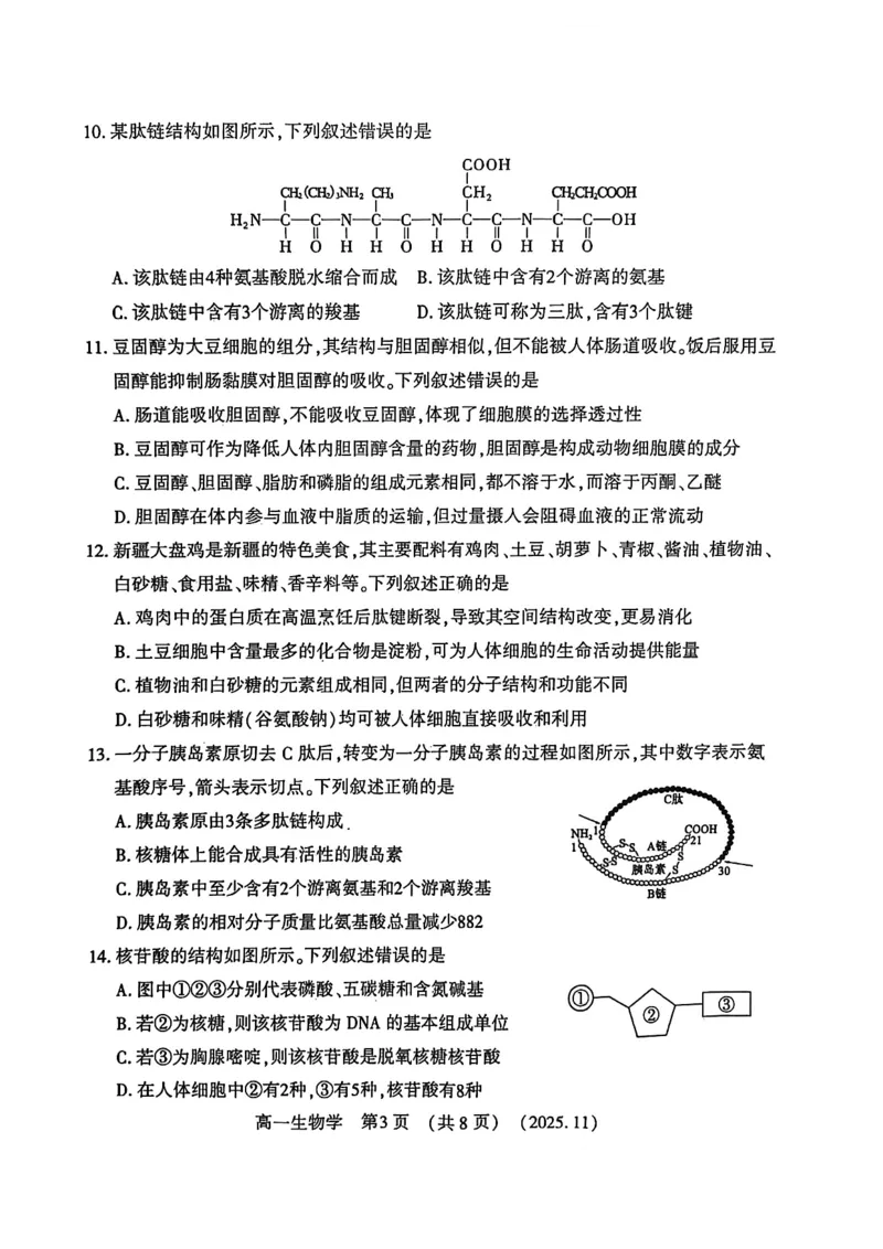 河南省洛阳市2025&mdash;2026学年第一学期11月期中考试高一生物试卷_2025年11月高一试卷_251126河南省洛阳市2025-2026学年高一上学期期中考试（全）