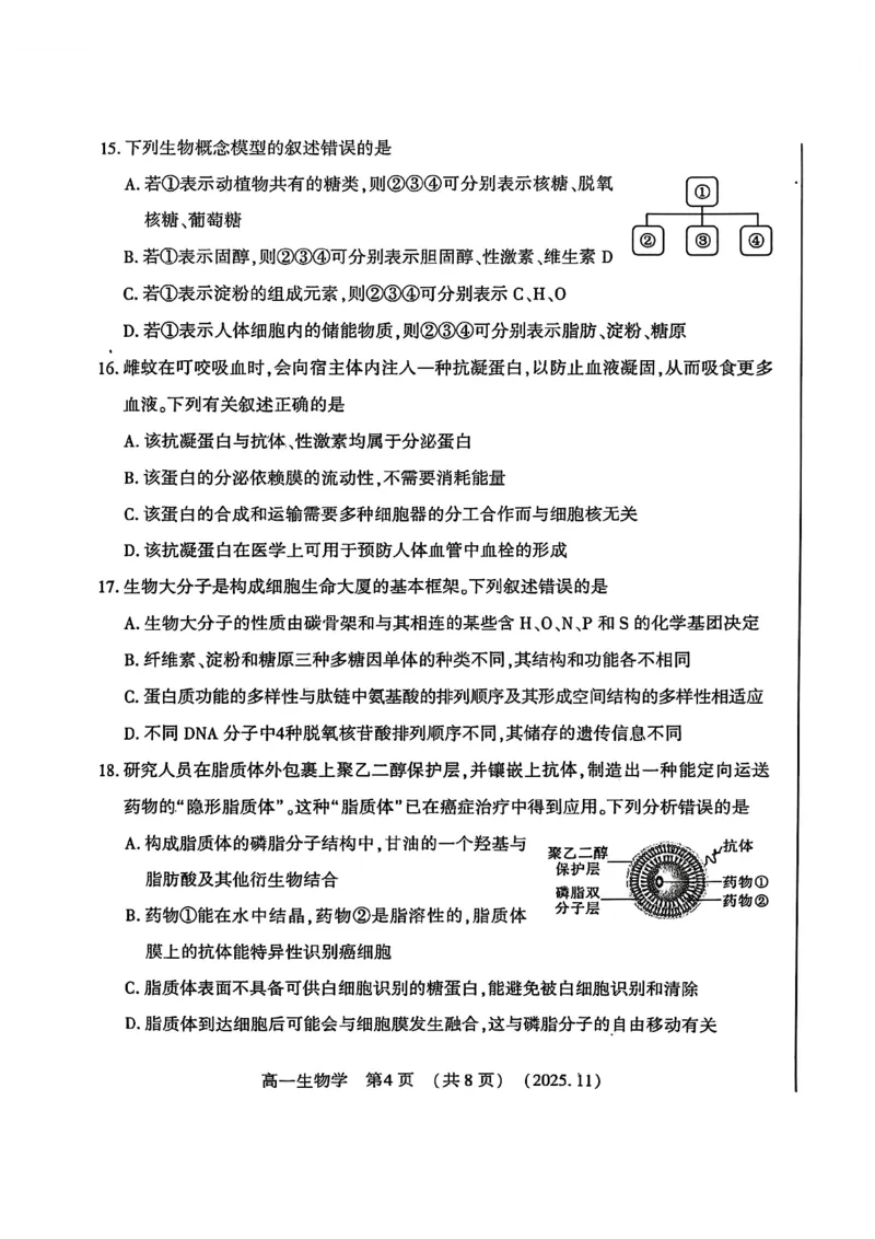 河南省洛阳市2025&mdash;2026学年第一学期11月期中考试高一生物试卷_2025年11月高一试卷_251126河南省洛阳市2025-2026学年高一上学期期中考试（全）