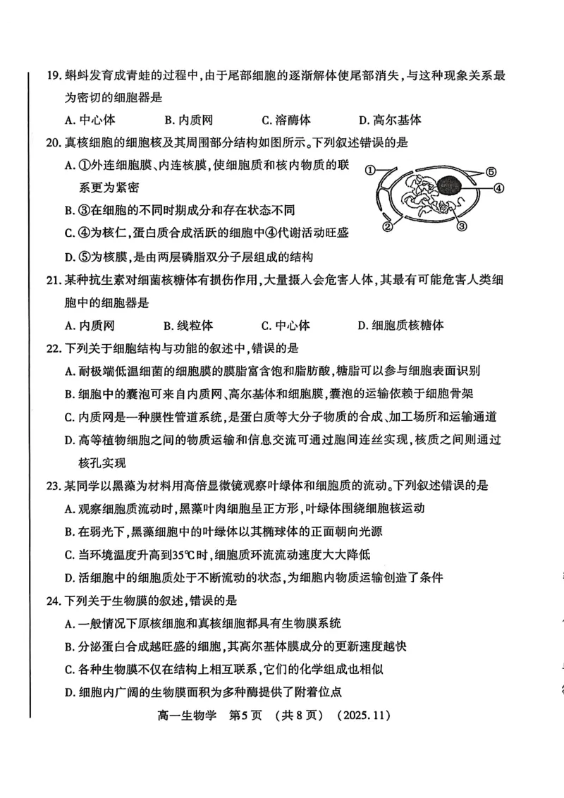 河南省洛阳市2025&mdash;2026学年第一学期11月期中考试高一生物试卷_2025年11月高一试卷_251126河南省洛阳市2025-2026学年高一上学期期中考试（全）