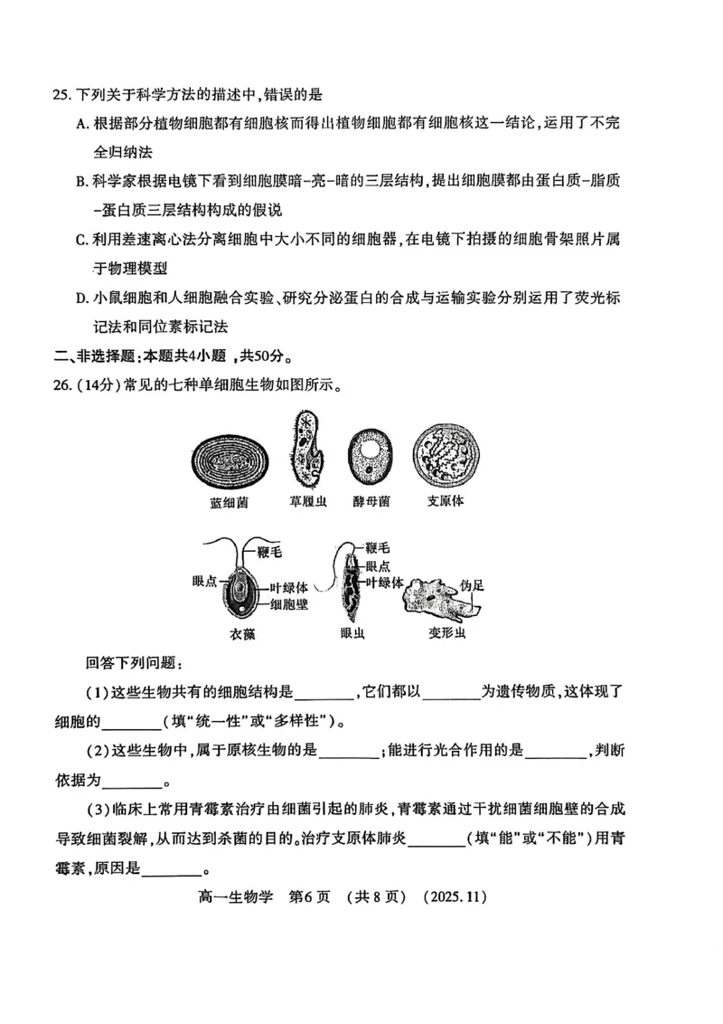 河南省洛阳市2025&mdash;2026学年第一学期11月期中考试高一生物试卷_2025年11月高一试卷_251126河南省洛阳市2025-2026学年高一上学期期中考试（全）