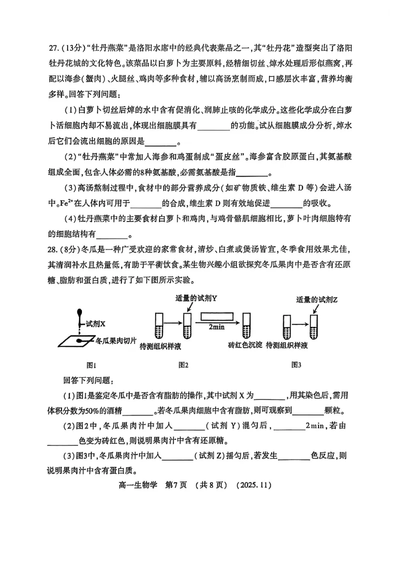 河南省洛阳市2025&mdash;2026学年第一学期11月期中考试高一生物试卷_2025年11月高一试卷_251126河南省洛阳市2025-2026学年高一上学期期中考试（全）