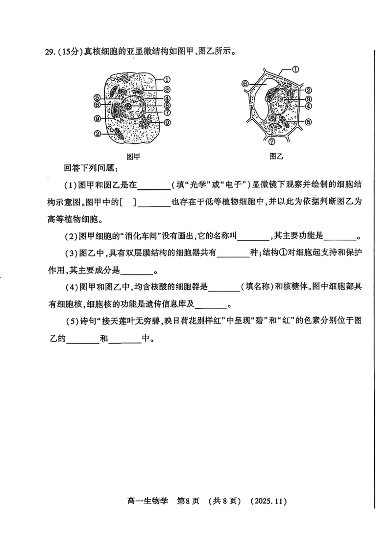 河南省洛阳市2025&mdash;2026学年第一学期11月期中考试高一生物试卷_2025年11月高一试卷_251126河南省洛阳市2025-2026学年高一上学期期中考试（全）