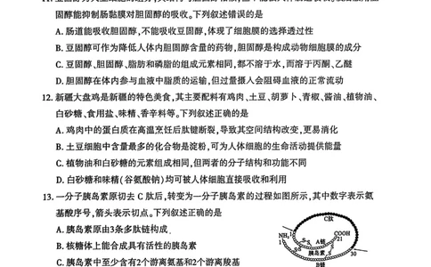 河南省洛阳市2025&mdash;2026学年第一学期11月期中考试高一生物试卷_2025年11月高一试卷_251126河南省洛阳市2025-2026学年高一上学期期中考试（全）