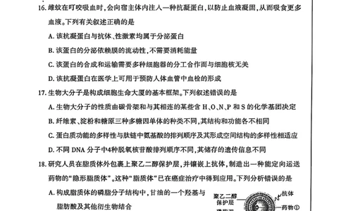 河南省洛阳市2025&mdash;2026学年第一学期11月期中考试高一生物试卷_2025年11月高一试卷_251126河南省洛阳市2025-2026学年高一上学期期中考试（全）