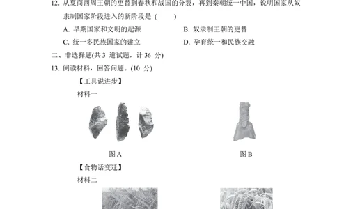2024-2025学年七年级历史上册期中学情评估卷（第1-10课）（含答案）部编版_新版初中_最新历史七年级上册_12七上历史习题试卷_期中试卷