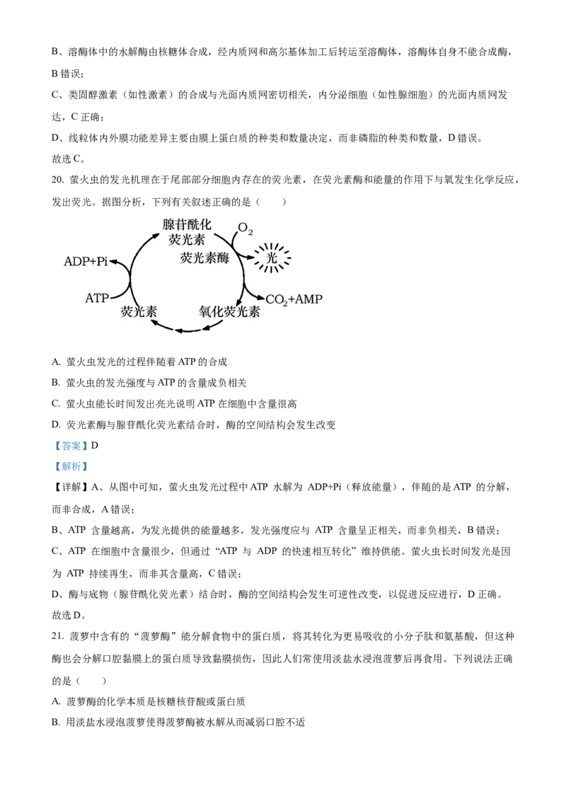 浙江省丽水发展共同体2025-2026学年高一上学期11月期中生物试题Word版含解析_2025年12月高一试卷_251210浙江省丽水发展共同体2025-2026学年高一上学期11月期中（全）