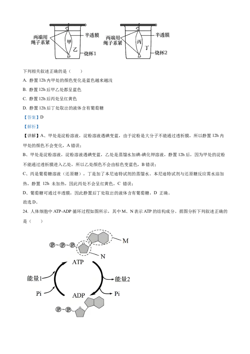 浙江省丽水发展共同体2025-2026学年高一上学期11月期中生物试题Word版含解析_2025年12月高一试卷_251210浙江省丽水发展共同体2025-2026学年高一上学期11月期中（全）
