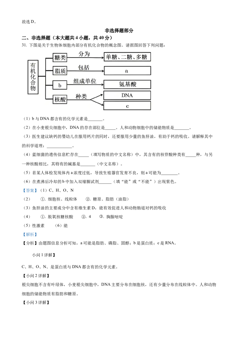 浙江省丽水发展共同体2025-2026学年高一上学期11月期中生物试题Word版含解析_2025年12月高一试卷_251210浙江省丽水发展共同体2025-2026学年高一上学期11月期中（全）
