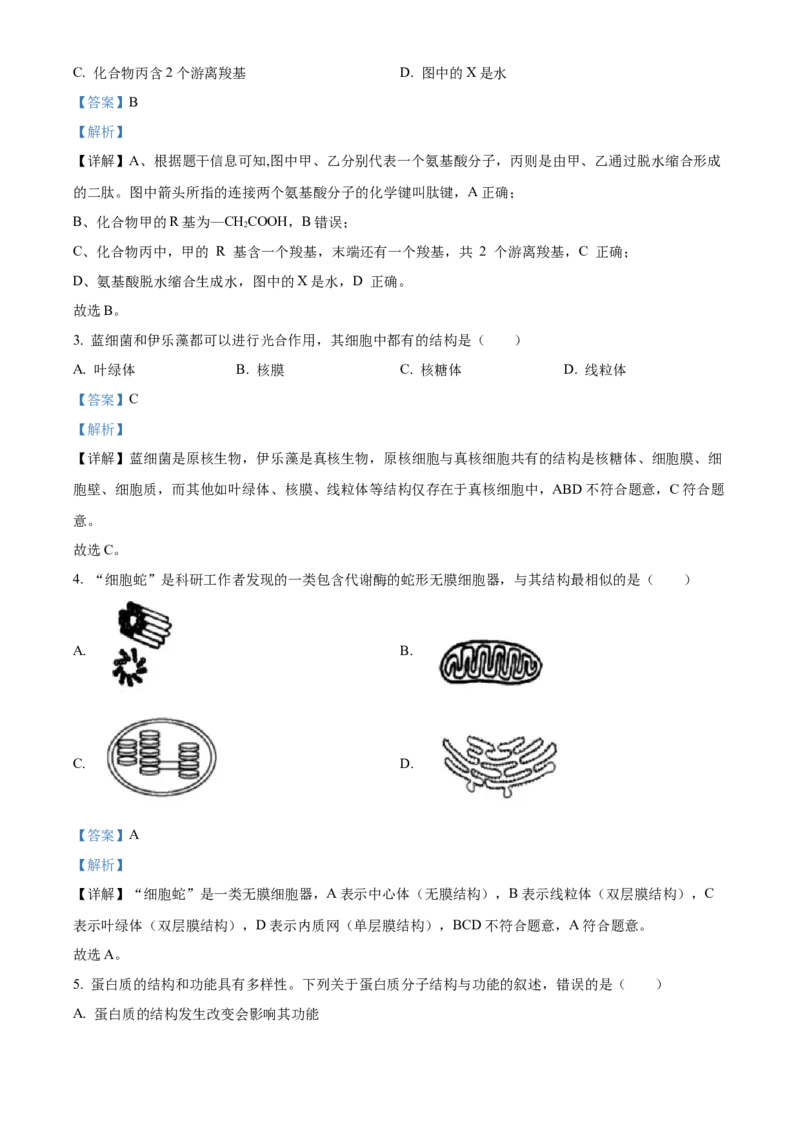 浙江省丽水发展共同体2025-2026学年高一上学期11月期中生物试题Word版含解析_2025年12月高一试卷_251210浙江省丽水发展共同体2025-2026学年高一上学期11月期中（全）