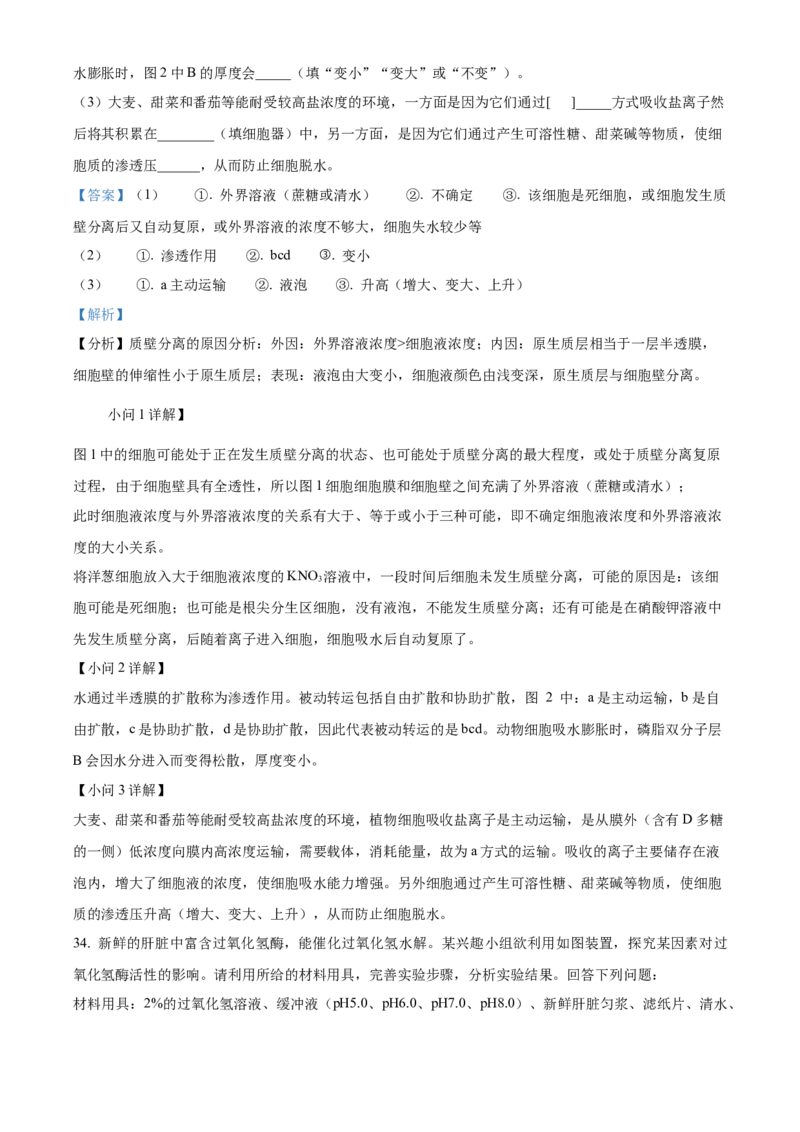 浙江省丽水发展共同体2025-2026学年高一上学期11月期中生物试题Word版含解析_2025年12月高一试卷_251210浙江省丽水发展共同体2025-2026学年高一上学期11月期中（全）