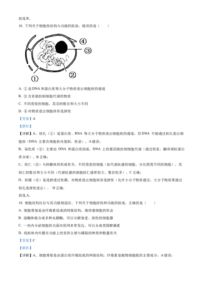 浙江省丽水发展共同体2025-2026学年高一上学期11月期中生物试题Word版含解析_2025年12月高一试卷_251210浙江省丽水发展共同体2025-2026学年高一上学期11月期中（全）