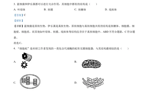 浙江省丽水发展共同体2025-2026学年高一上学期11月期中生物试题Word版含解析_2025年12月高一试卷_251210浙江省丽水发展共同体2025-2026学年高一上学期11月期中（全）