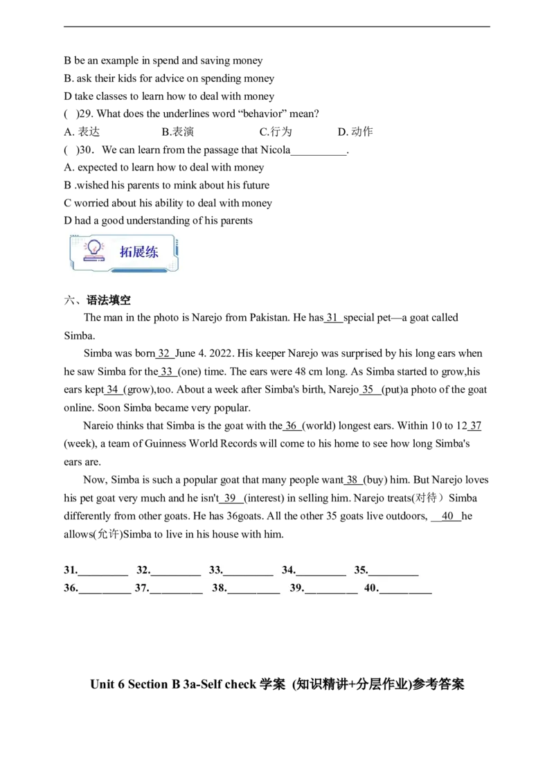 Unit6SectionB3a-Selfcheck学案(知识精讲+分层作业)(含答案)_最新人教版英语九年级全册_新更新初中英语9全_03课件+学案