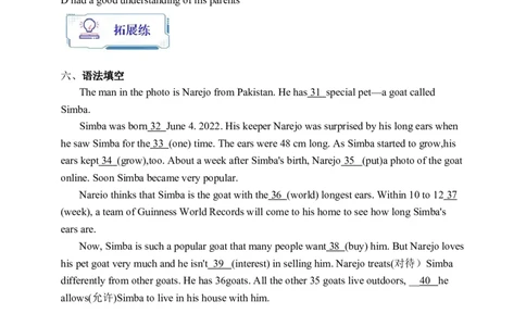 Unit6SectionB3a-Selfcheck学案(知识精讲+分层作业)(含答案)_最新人教版英语九年级全册_新更新初中英语9全_03课件+学案