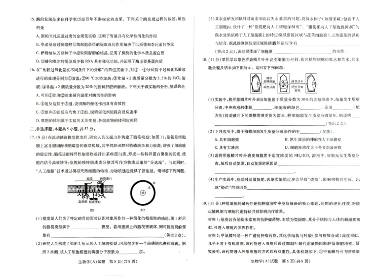河南省天一大联考2025-2026学年高一上学期1月月考生物试题A_2026年01月高一试卷_260113河南省豫北名校2025-2026学年高一上学期阶段性测试（二）