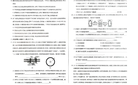 河南省天一大联考2025-2026学年高一上学期1月月考生物试题A_2026年01月高一试卷_260113河南省豫北名校2025-2026学年高一上学期阶段性测试（二）