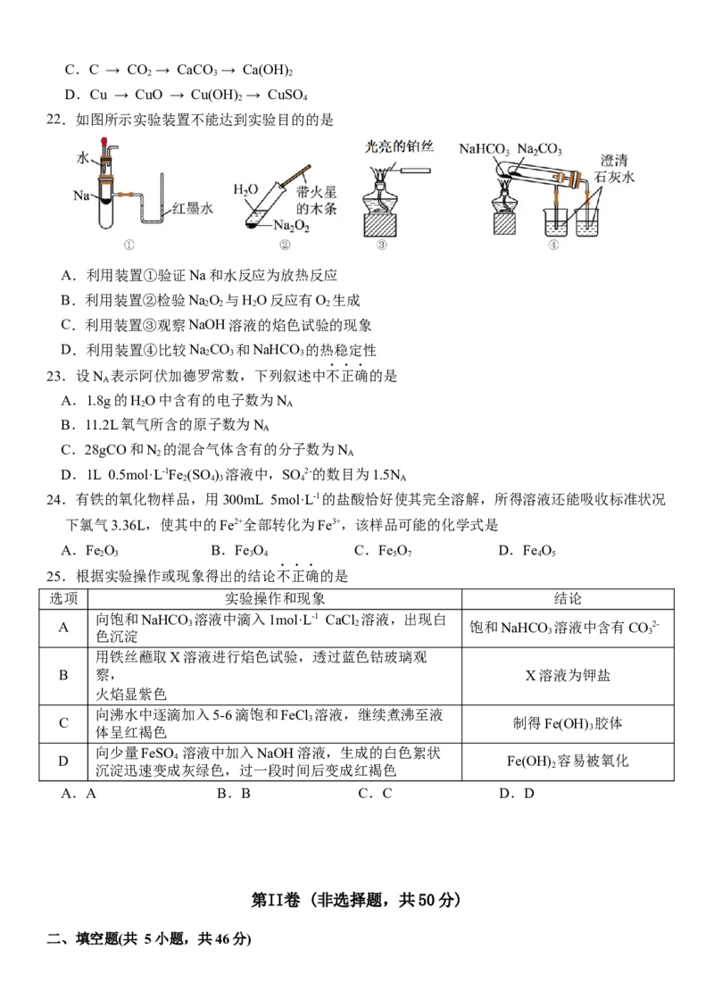 浙江省丽水市五校高中发展共同体2024-2025学年高一上学期11月期中联考化学试题_2024年11月试卷_1123浙江省丽水市五校高中发展共同体2024-2025学年高一上学期11月期中联考