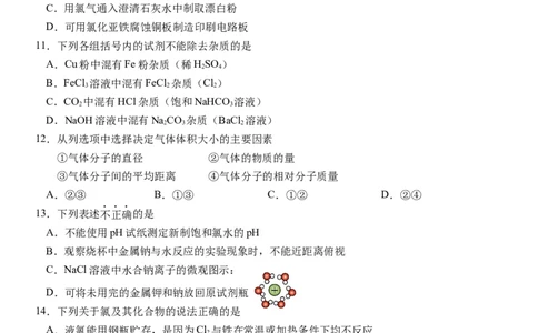 浙江省丽水市五校高中发展共同体2024-2025学年高一上学期11月期中联考化学试题_2024年11月试卷_1123浙江省丽水市五校高中发展共同体2024-2025学年高一上学期11月期中联考