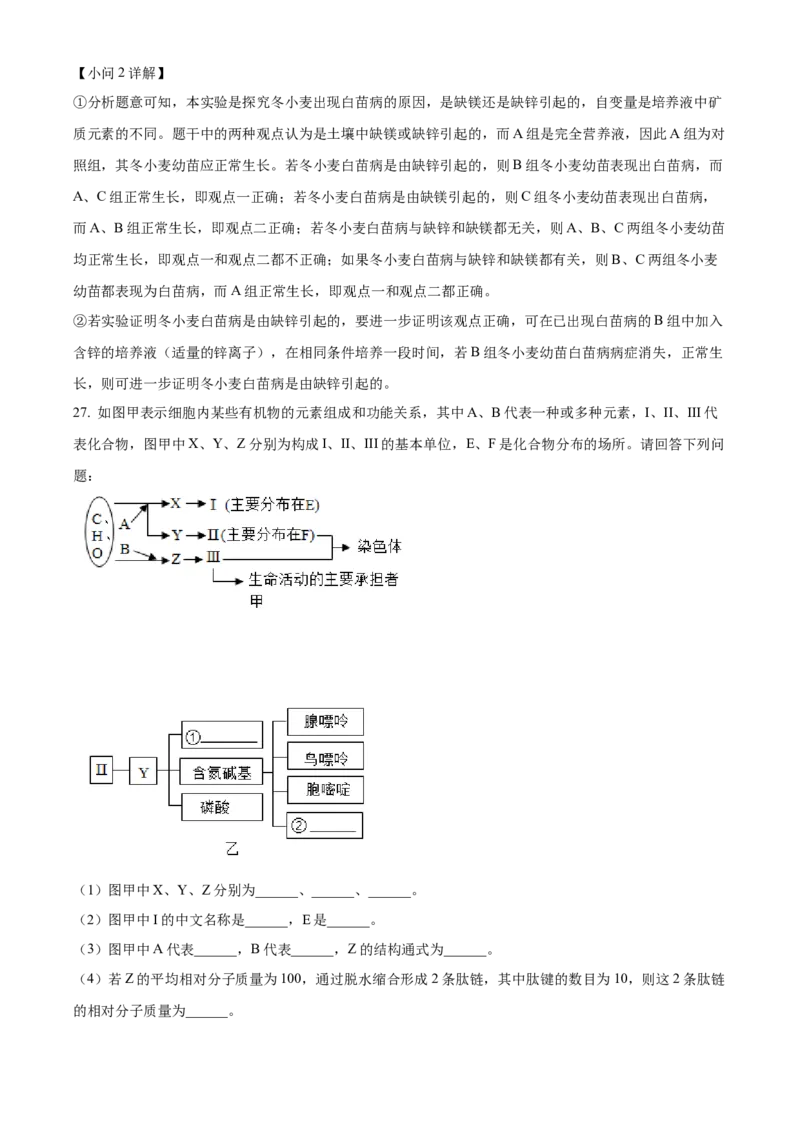 河南省郑州市十校2024-2025学年高一上学期期中联考生物试卷Word版含解析_2024年12月试卷_1213河南省郑州十校联考2024-2025学年高一上学期期中考试