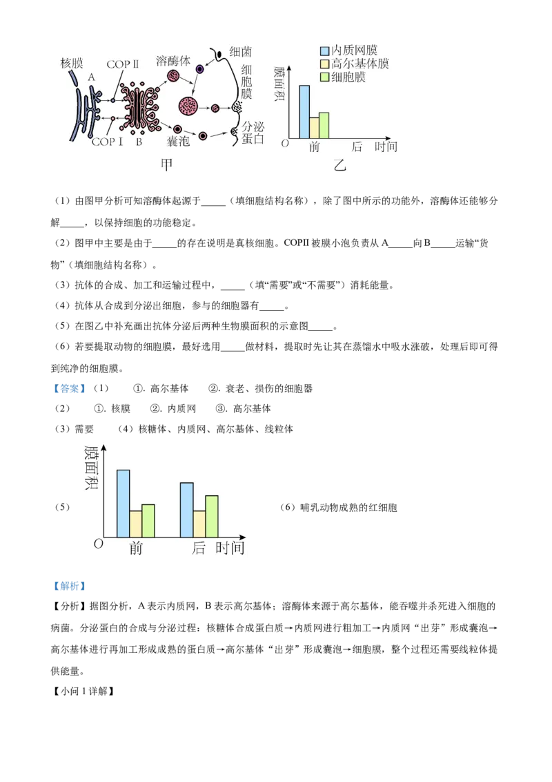 河南省郑州市十校2024-2025学年高一上学期期中联考生物试卷Word版含解析_2024年12月试卷_1213河南省郑州十校联考2024-2025学年高一上学期期中考试