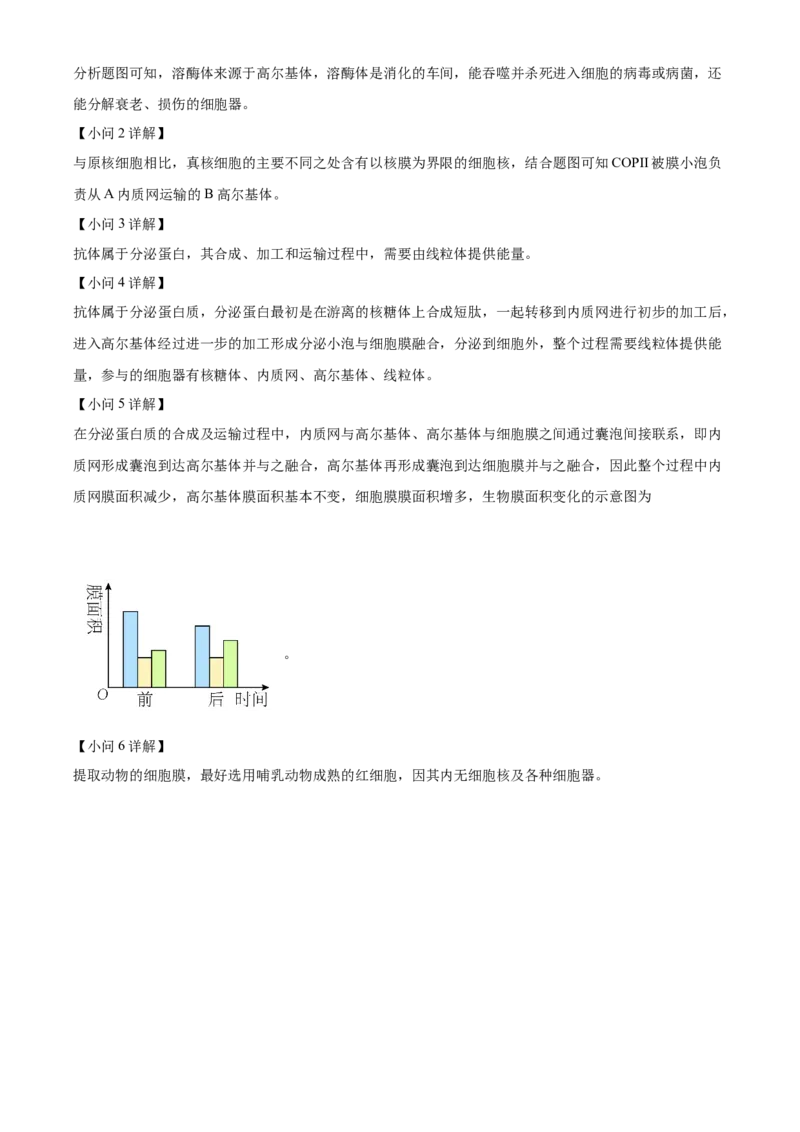 河南省郑州市十校2024-2025学年高一上学期期中联考生物试卷Word版含解析_2024年12月试卷_1213河南省郑州十校联考2024-2025学年高一上学期期中考试