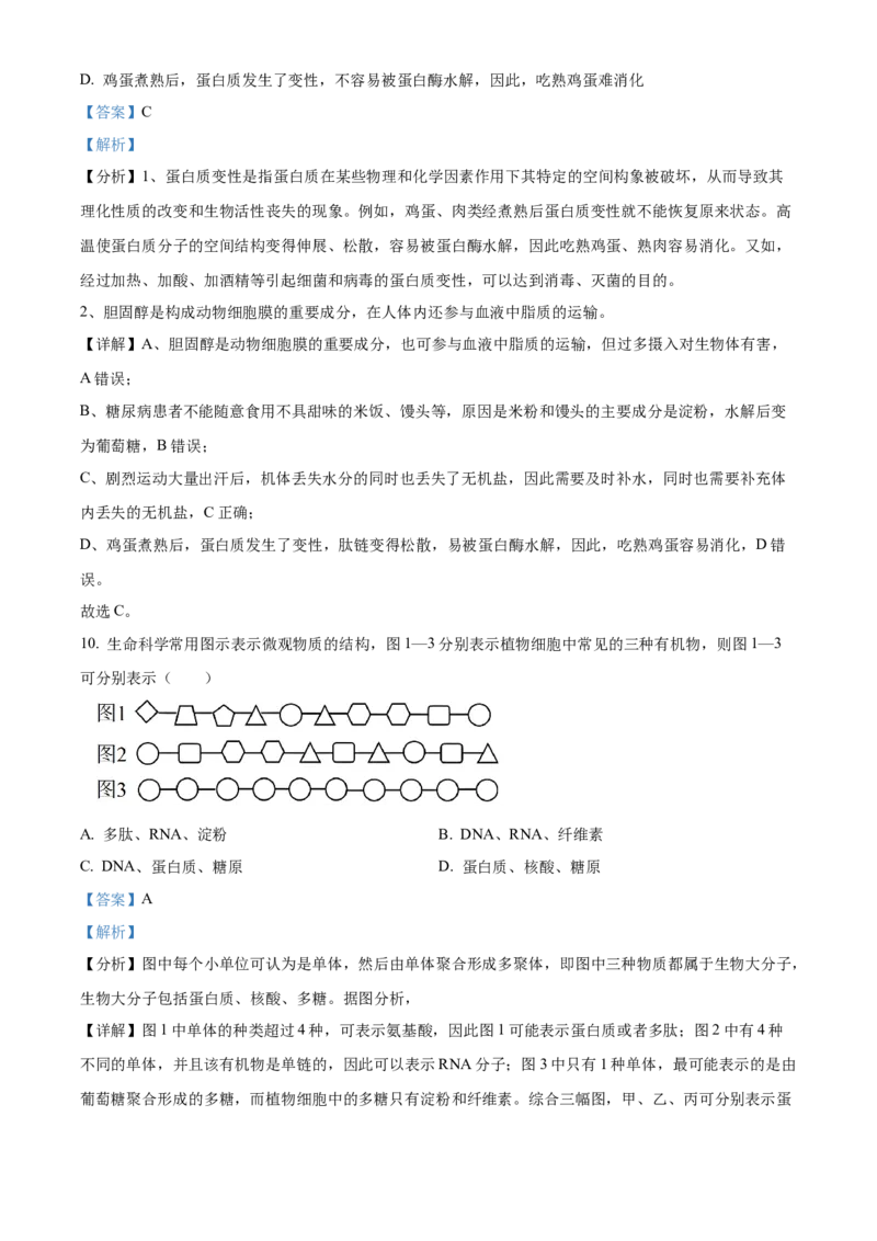 河南省郑州市十校2024-2025学年高一上学期期中联考生物试卷Word版含解析_2024年12月试卷_1213河南省郑州十校联考2024-2025学年高一上学期期中考试