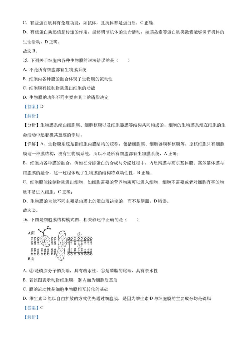 河南省郑州市十校2024-2025学年高一上学期期中联考生物试卷Word版含解析_2024年12月试卷_1213河南省郑州十校联考2024-2025学年高一上学期期中考试