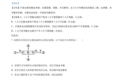 河南省郑州市十校2024-2025学年高一上学期期中联考生物试卷Word版含解析_2024年12月试卷_1213河南省郑州十校联考2024-2025学年高一上学期期中考试