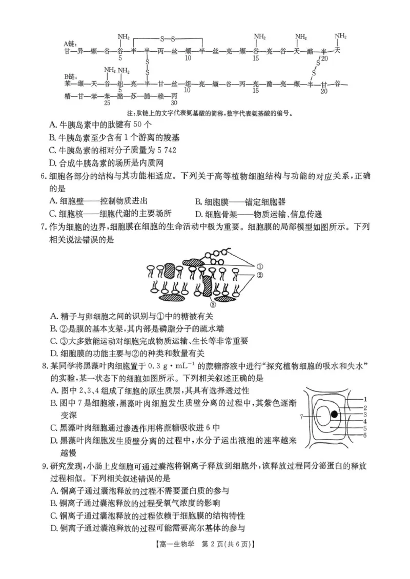 河南省名校大联考2024-2025学年高一下学期开学考试生物试题_2025年02月试卷_0221河南省名校大联考2024-2025学年高一下学期开学测试