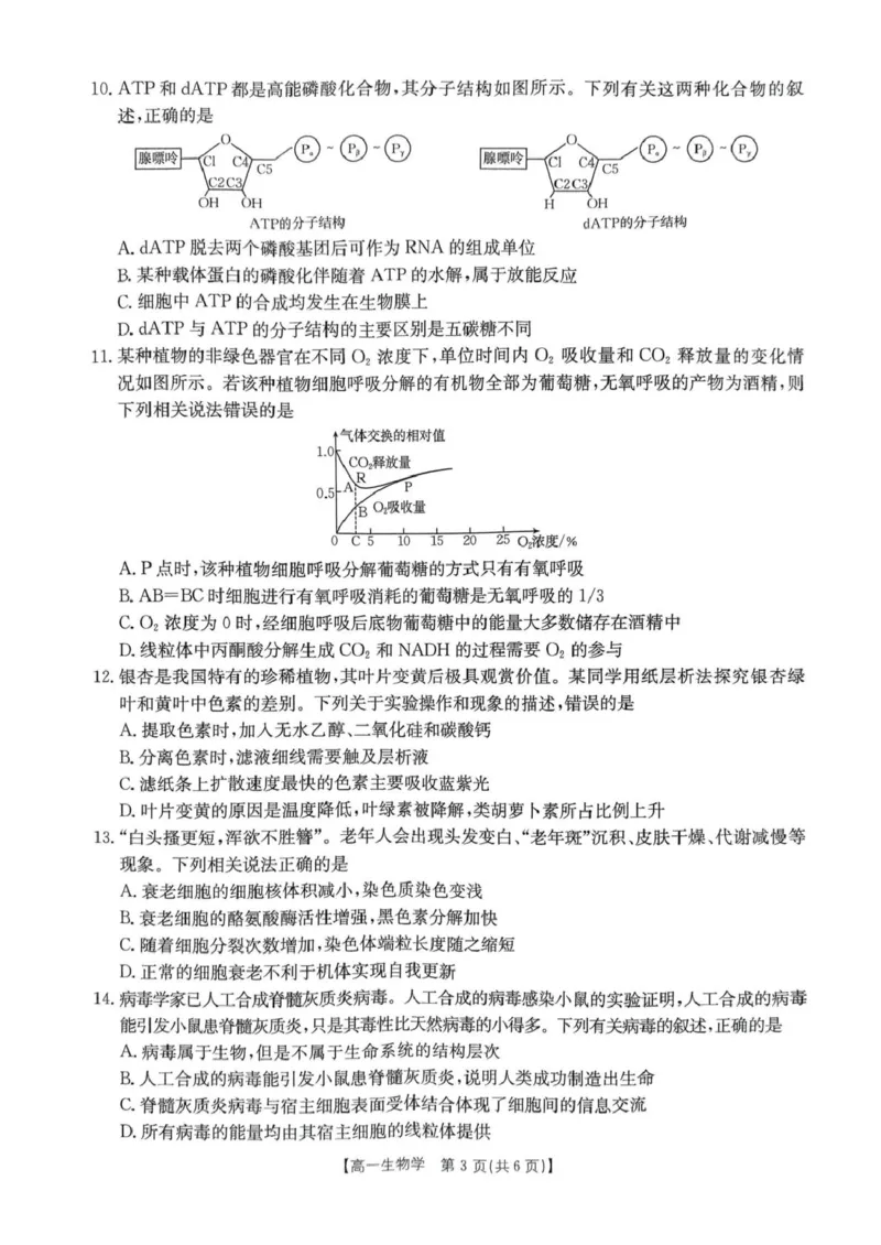 河南省名校大联考2024-2025学年高一下学期开学考试生物试题_2025年02月试卷_0221河南省名校大联考2024-2025学年高一下学期开学测试