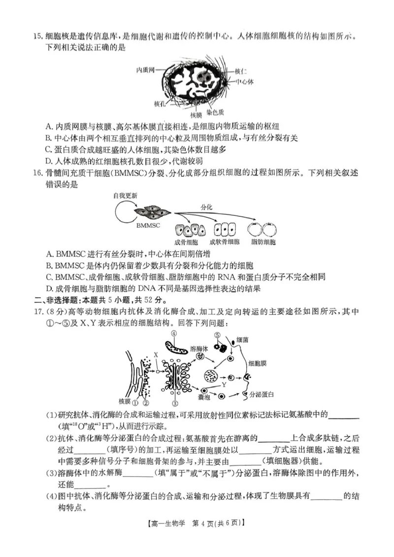 河南省名校大联考2024-2025学年高一下学期开学考试生物试题_2025年02月试卷_0221河南省名校大联考2024-2025学年高一下学期开学测试