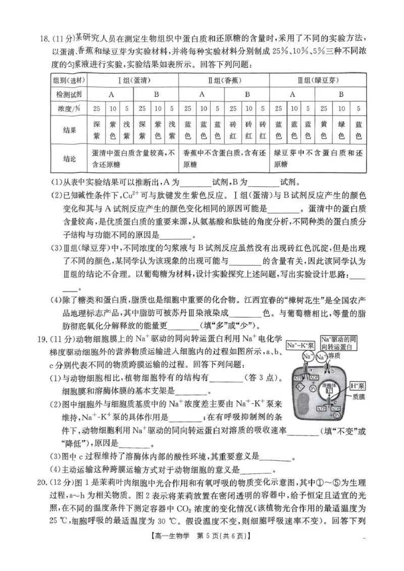 河南省名校大联考2024-2025学年高一下学期开学考试生物试题_2025年02月试卷_0221河南省名校大联考2024-2025学年高一下学期开学测试
