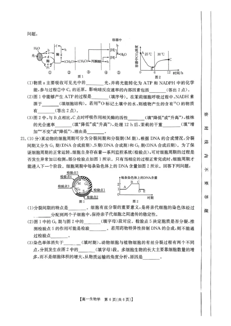 河南省名校大联考2024-2025学年高一下学期开学考试生物试题_2025年02月试卷_0221河南省名校大联考2024-2025学年高一下学期开学测试