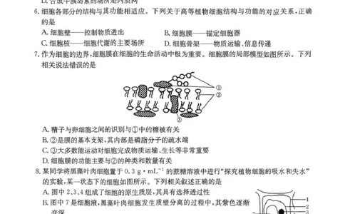 河南省名校大联考2024-2025学年高一下学期开学考试生物试题_2025年02月试卷_0221河南省名校大联考2024-2025学年高一下学期开学测试