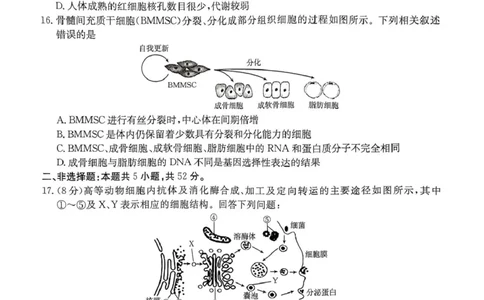 河南省名校大联考2024-2025学年高一下学期开学考试生物试题_2025年02月试卷_0221河南省名校大联考2024-2025学年高一下学期开学测试