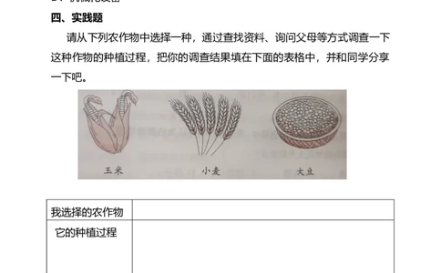 7我们的衣食之源（第一课时）+试题-四年级下册道德与法治_A493小学道法_26新四年级道法下册（统编版）_教学教案_教案四