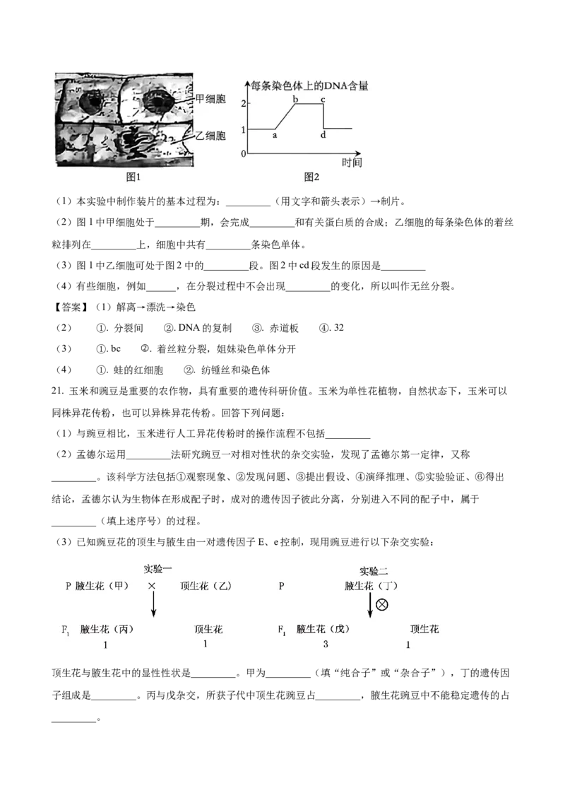 河南省开封市新未来联考2025-2026学年高一下学期3月测评生物试卷_2026年03月高一试卷_260317河南省新未来联考2025-2026学年高一下学期3月测评试卷（全科）