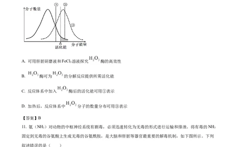 河南省开封市新未来联考2025-2026学年高一下学期3月测评生物试卷_2026年03月高一试卷_260317河南省新未来联考2025-2026学年高一下学期3月测评试卷（全科）