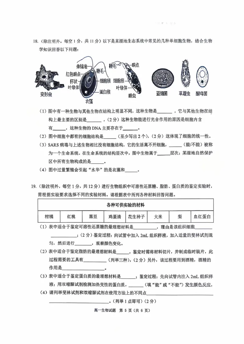 河南省驻马店市&ldquo;逐梦计划&rdquo;环际大联考2025-2026学年高一上学期阶段考试（一）生物PDF版含解析_2025年10月高一试卷