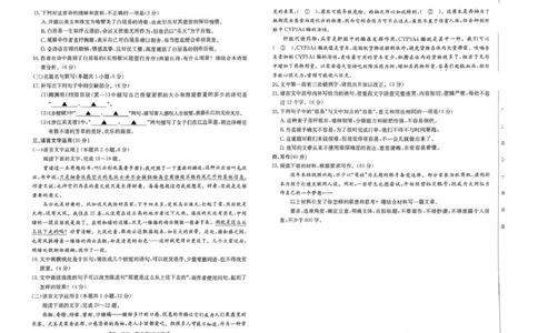 河南省名校大联考2024-2025学年高一下学期开学考试语文试题_2025年02月试卷_0221河南省名校大联考2024-2025学年高一下学期开学测试