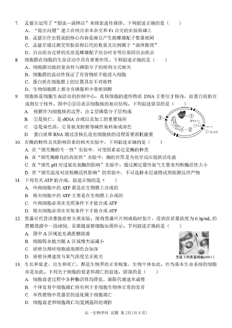 浙江省台州山海协作体2024-2025学年高一下学期4月期中生物试题_2025年04月试卷_0423浙江省台州市山海协作体2024-2025学年高一下学期4月期中联考