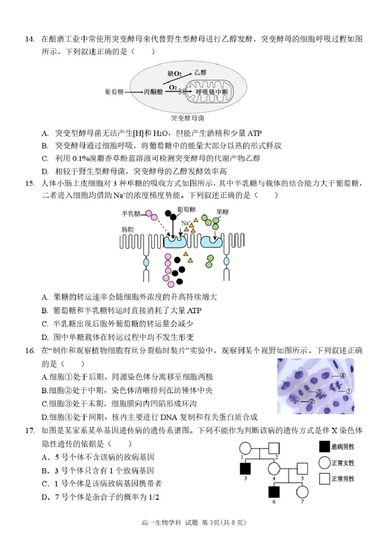 浙江省台州山海协作体2024-2025学年高一下学期4月期中生物试题_2025年04月试卷_0423浙江省台州市山海协作体2024-2025学年高一下学期4月期中联考