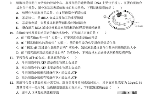 浙江省台州山海协作体2024-2025学年高一下学期4月期中生物试题_2025年04月试卷_0423浙江省台州市山海协作体2024-2025学年高一下学期4月期中联考