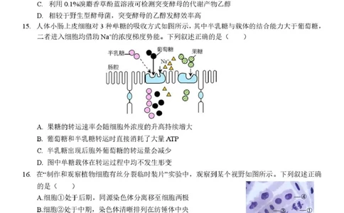 浙江省台州山海协作体2024-2025学年高一下学期4月期中生物试题_2025年04月试卷_0423浙江省台州市山海协作体2024-2025学年高一下学期4月期中联考