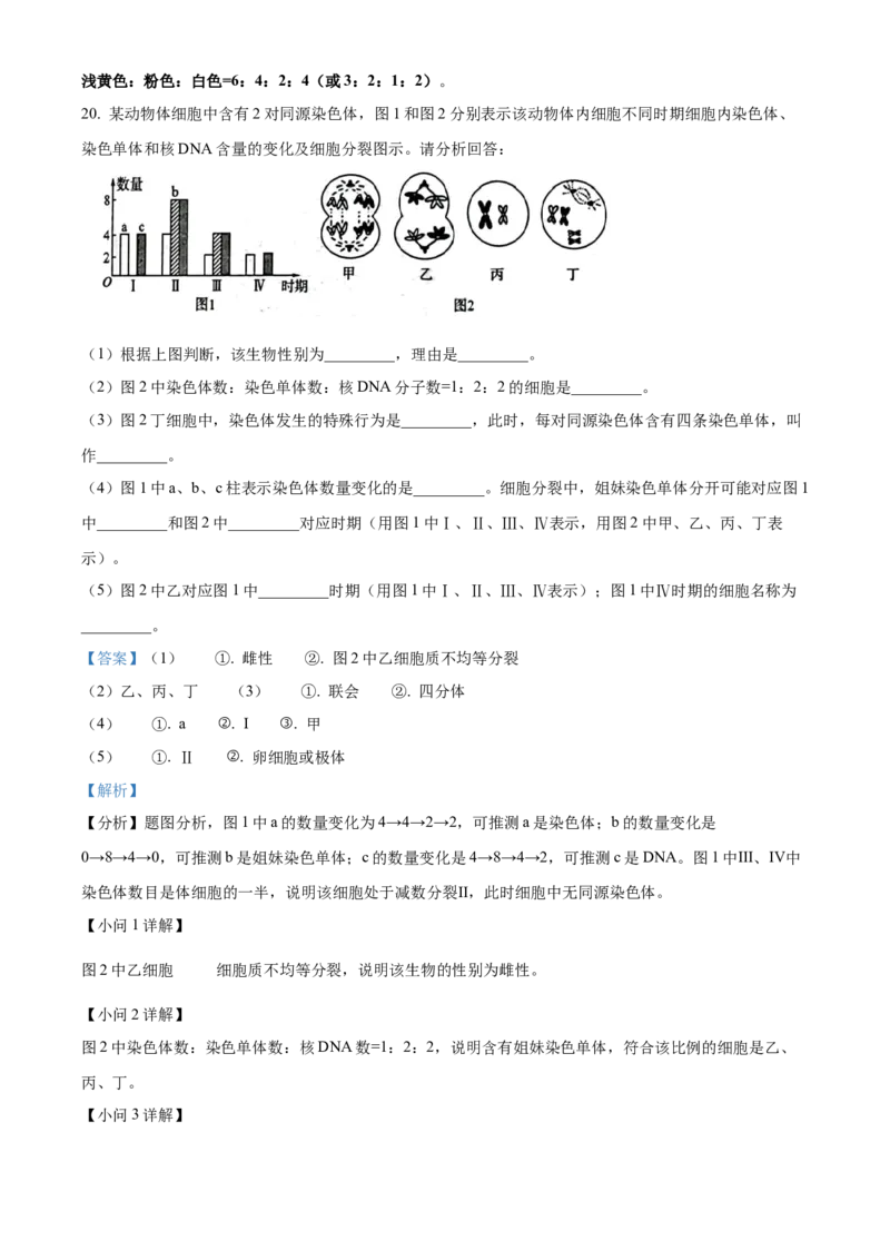 河南新乡市2025-2026学年高一下学期素养测评（一）生物学试题Word版含解析_2026年04月高一试卷_260412百师联盟2025-2026学年高一下学期素养测评（一）