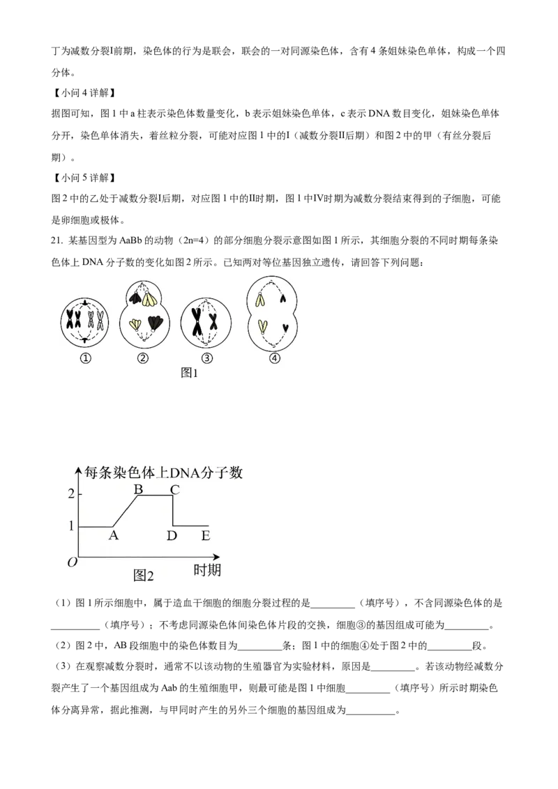 河南新乡市2025-2026学年高一下学期素养测评（一）生物学试题Word版含解析_2026年04月高一试卷_260412百师联盟2025-2026学年高一下学期素养测评（一）