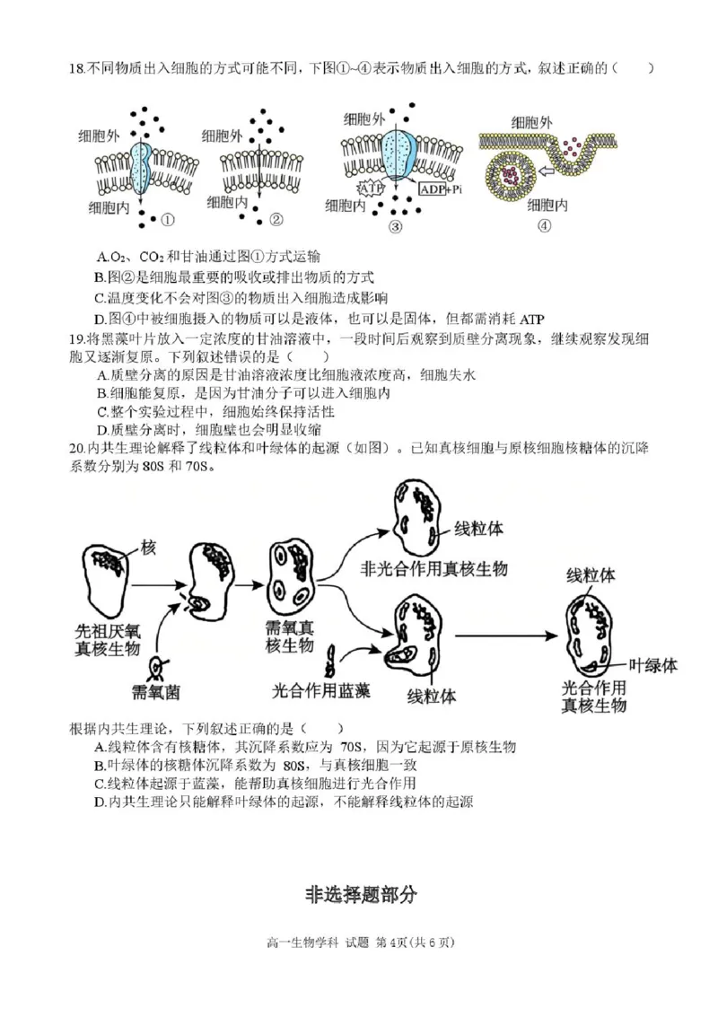 浙江省台州市十校联盟2025-2026学年高一上学期11月期中生物试题含答案_2025年11月高一试卷_251109浙江省台州十校联盟2025-2026学年高一上学期11月期中联考