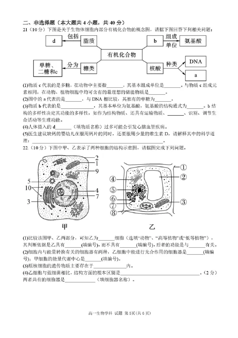 浙江省台州市十校联盟2025-2026学年高一上学期11月期中生物试题含答案_2025年11月高一试卷_251109浙江省台州十校联盟2025-2026学年高一上学期11月期中联考